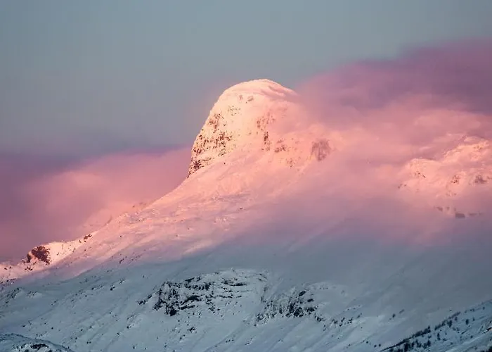 롯지 Storestolen Fjellhotell Hovet